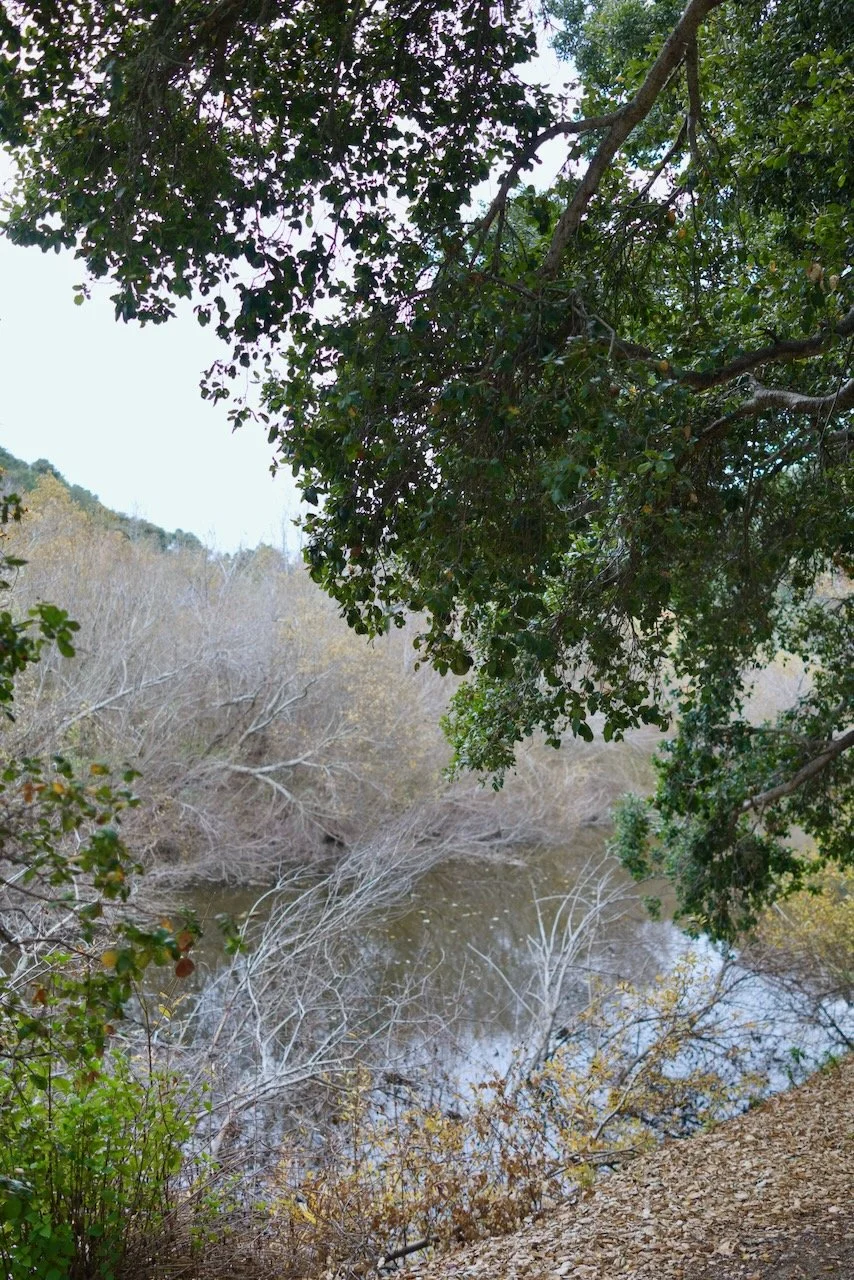  Spaces 2024:15 (2024) C-print on wood panel, 60”x40” 