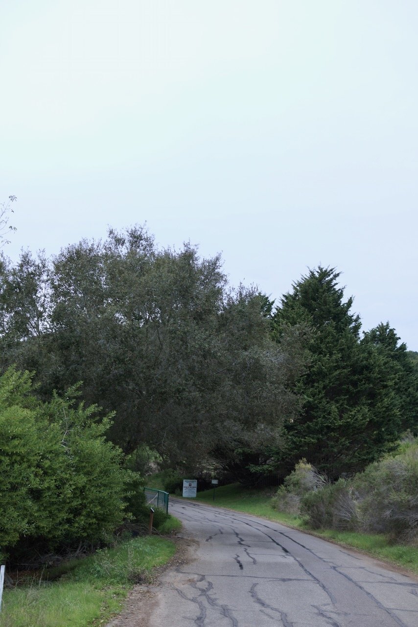  Spaces 2024:17 (2024) C-print on wood panel, 60”x40” 