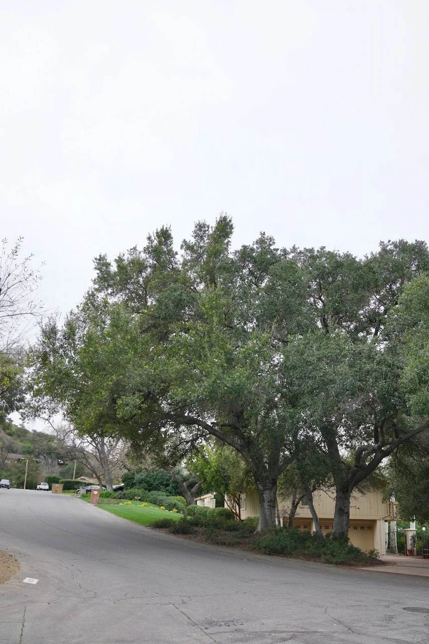  Spaces 2024:27 (2024) C-print on wood panel, 60”x40” 