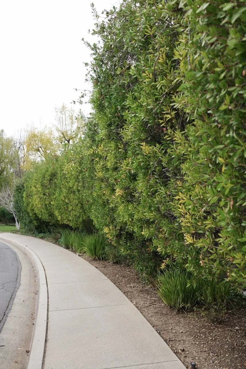  Spaces 2024:28 (2024) C-print on wood panel, 60”x40” 