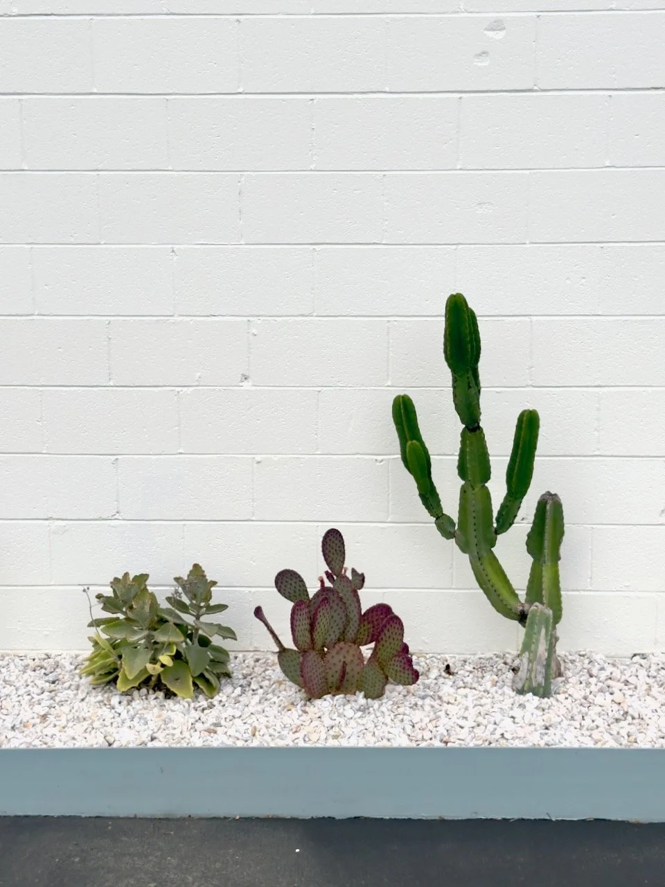  Spaces 2024:30 (2024) C-print on wood panel, 60”x40” 