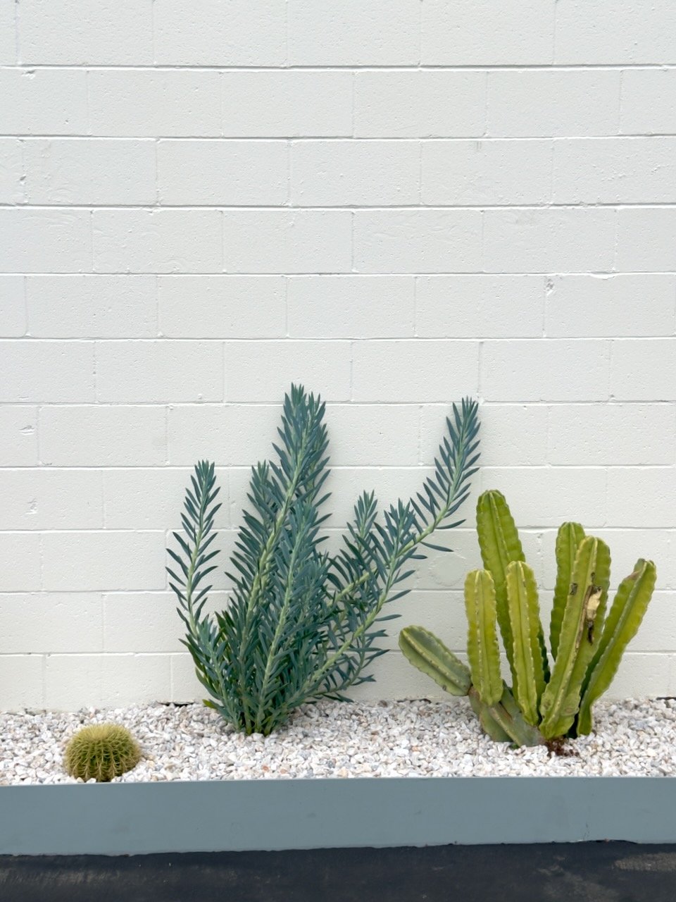  Spaces 2024:31 (2024) C-print on wood panel, 60”x40” 