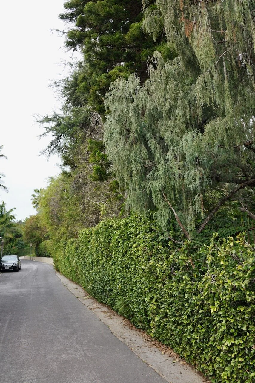  Spaces 2024:32 (2024) C-print on wood panel, 60”x40” 