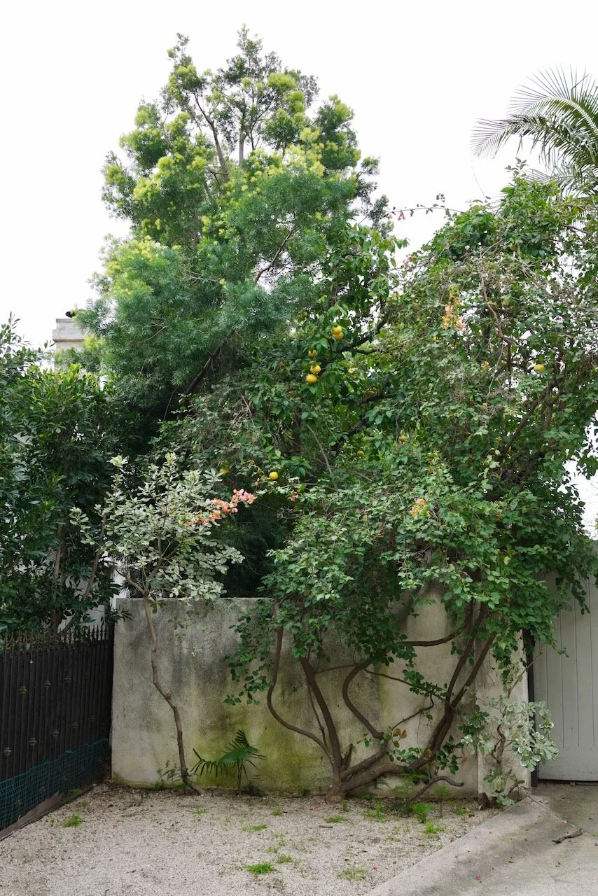  Spaces 2024:33 (2024) C-print on wood panel, 60”x40” 