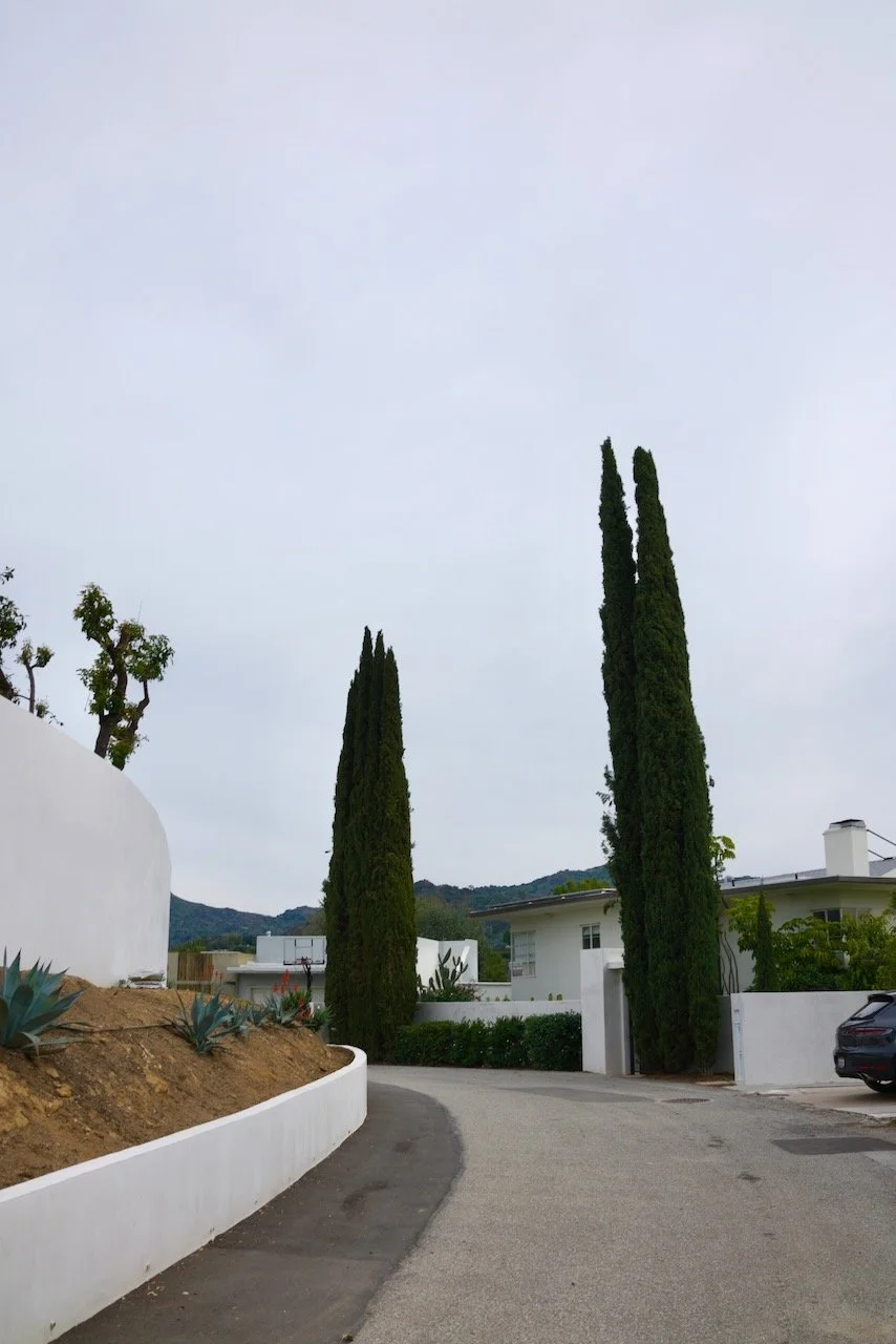  Spaces 2024:36 (2024) C-print on wood panel, 60”x40” 