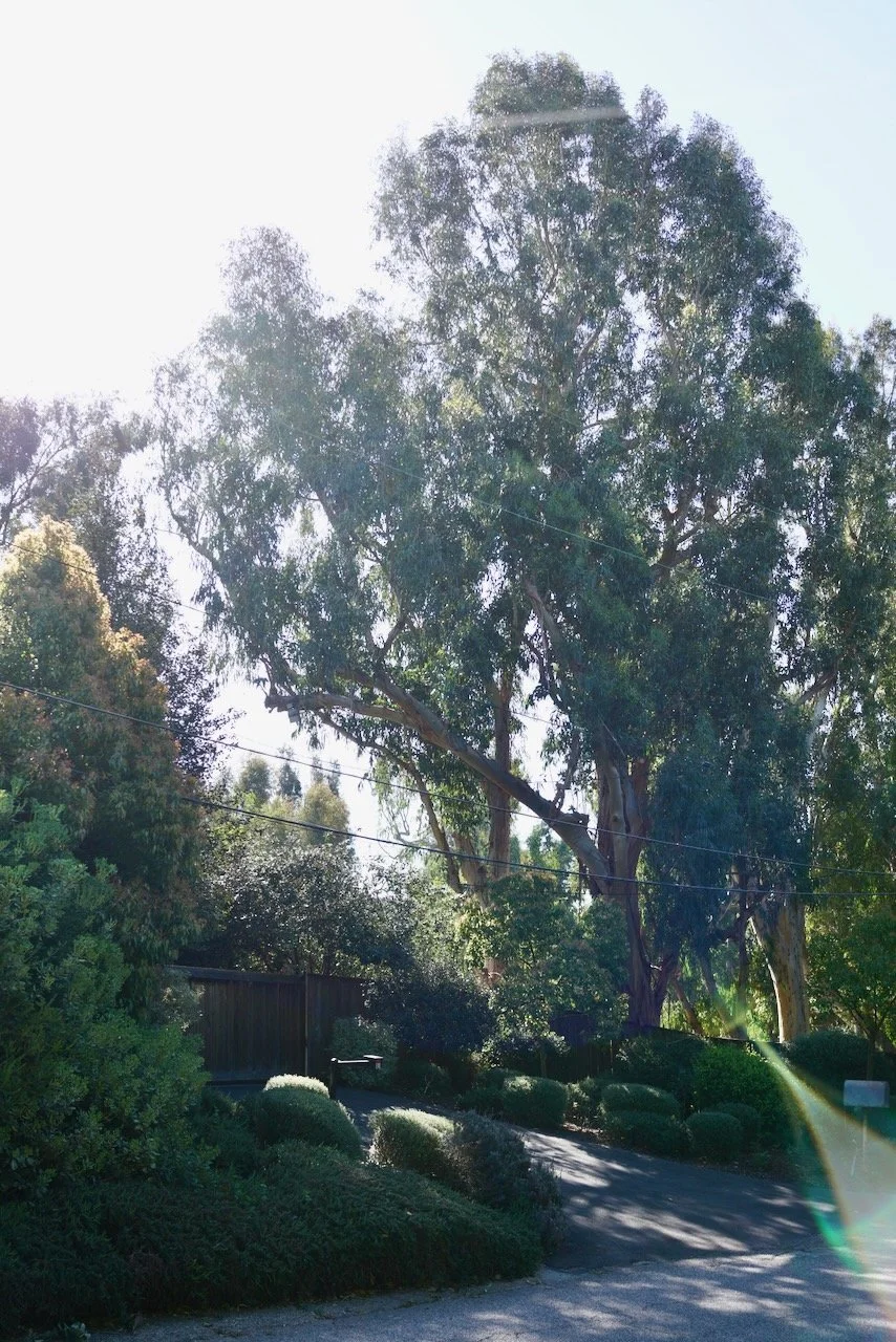  Spaces 2024:58 (2024) C-print on wood panel, 60”x40” 