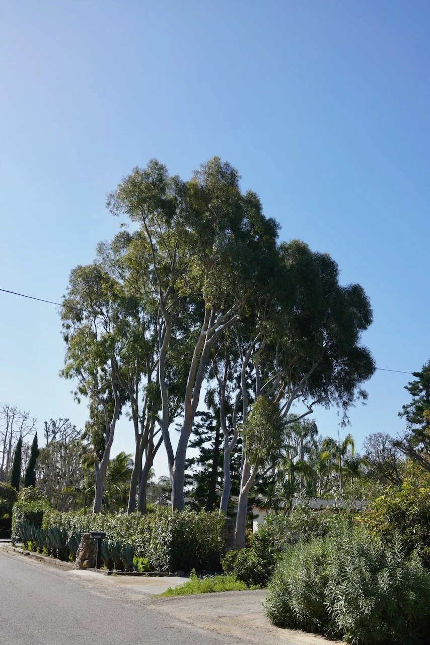  Spaces 2024:60 (2024) C-print on wood panel, 60”x40” 