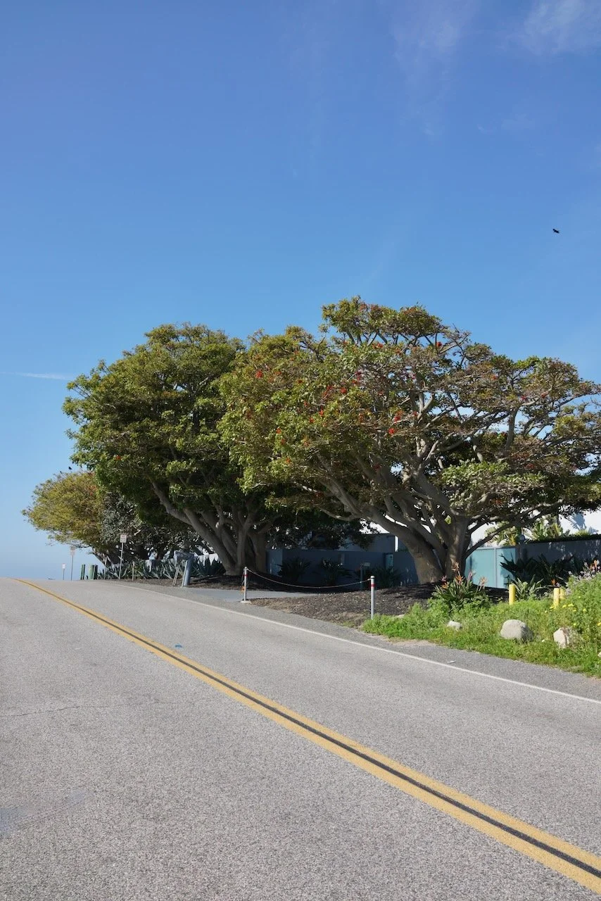  Spaces 2024:61 (2024) C-print on wood panel, 60”x40” 