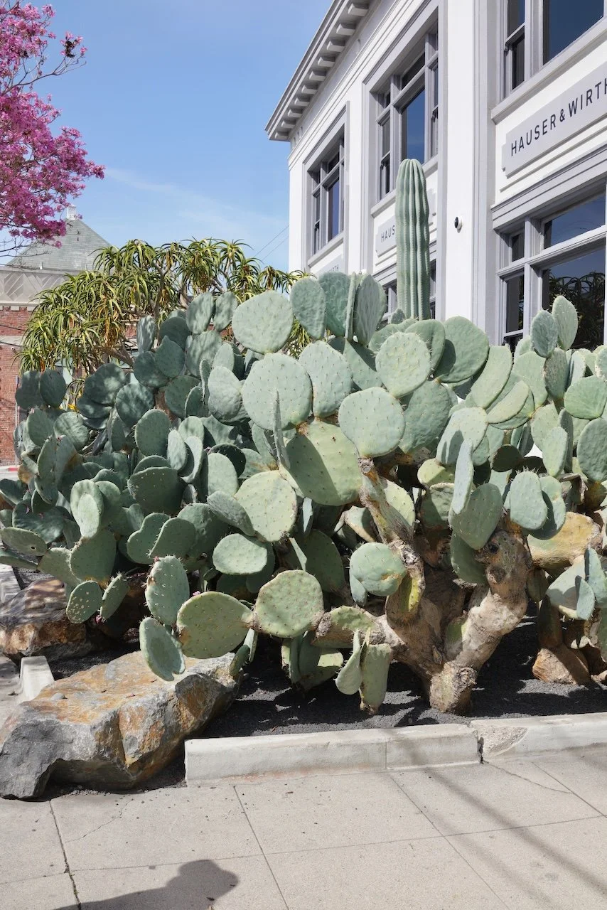  Galleries 2024:2 (2024) C-print on wood panel, 60"x40" 