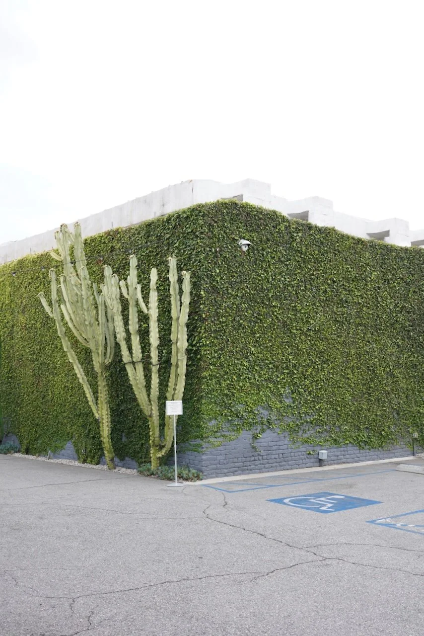  Galleries 2024:5 (2024) C-print on wood panel, 60"x40" 