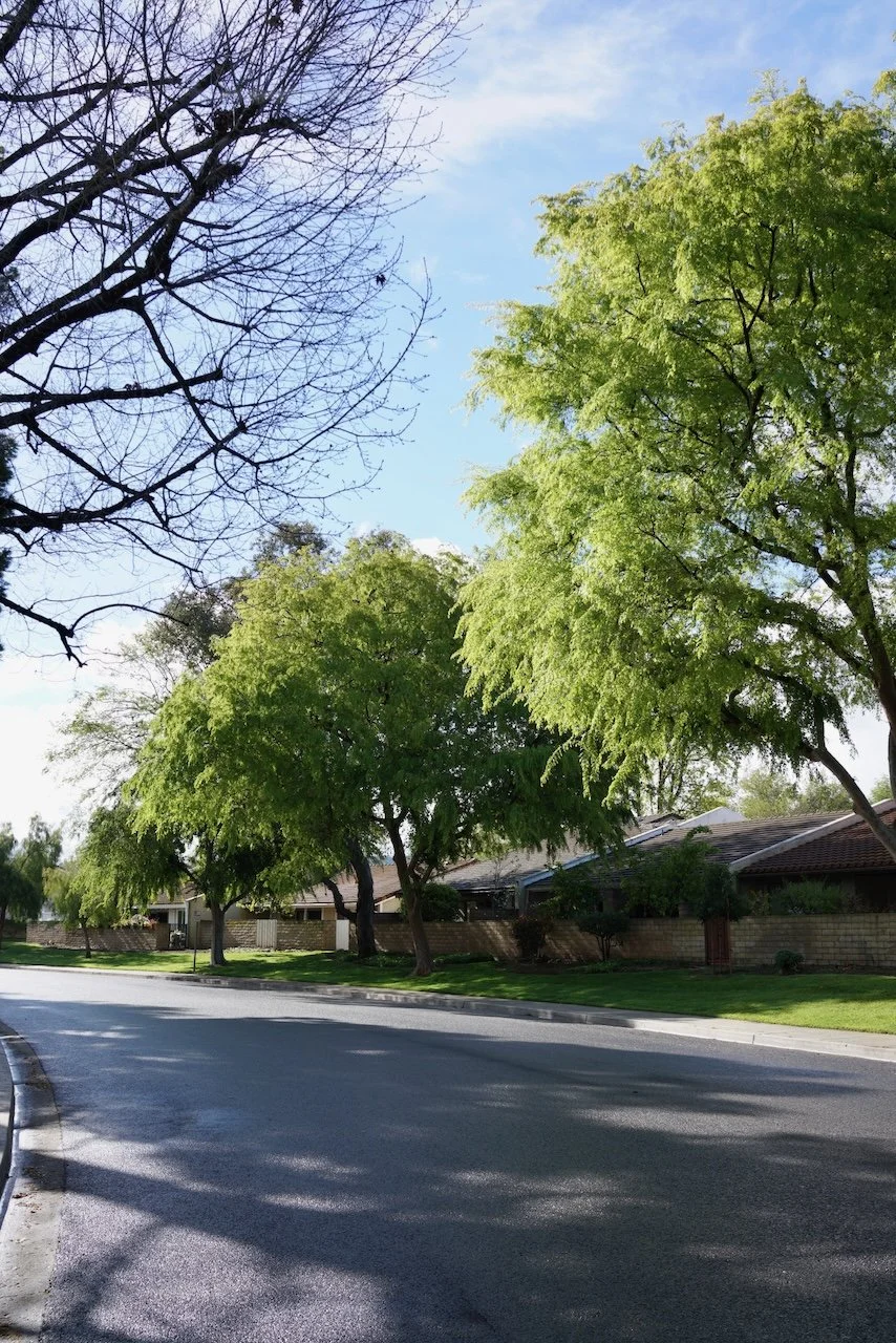  Clusters 2024:23 (2024) C-print on wood panel, 60”x40” 