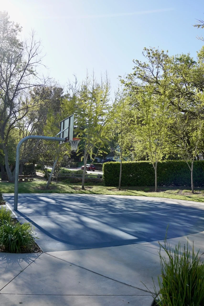  Clusters 2024:24 (2024) C-print on wood panel, 60”x40” 