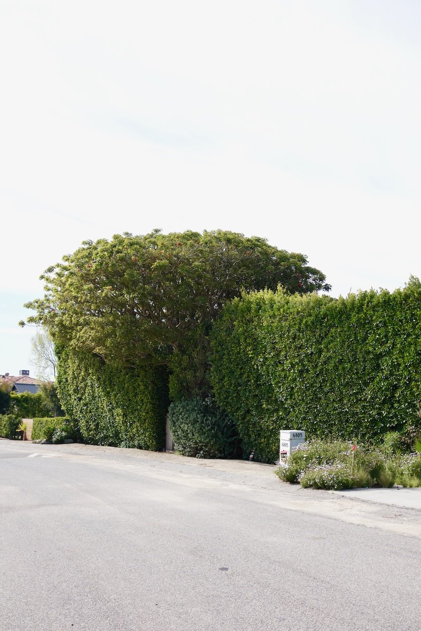  Clusters 2024:27 (2024) C-print on wood panel, 60”x40” 