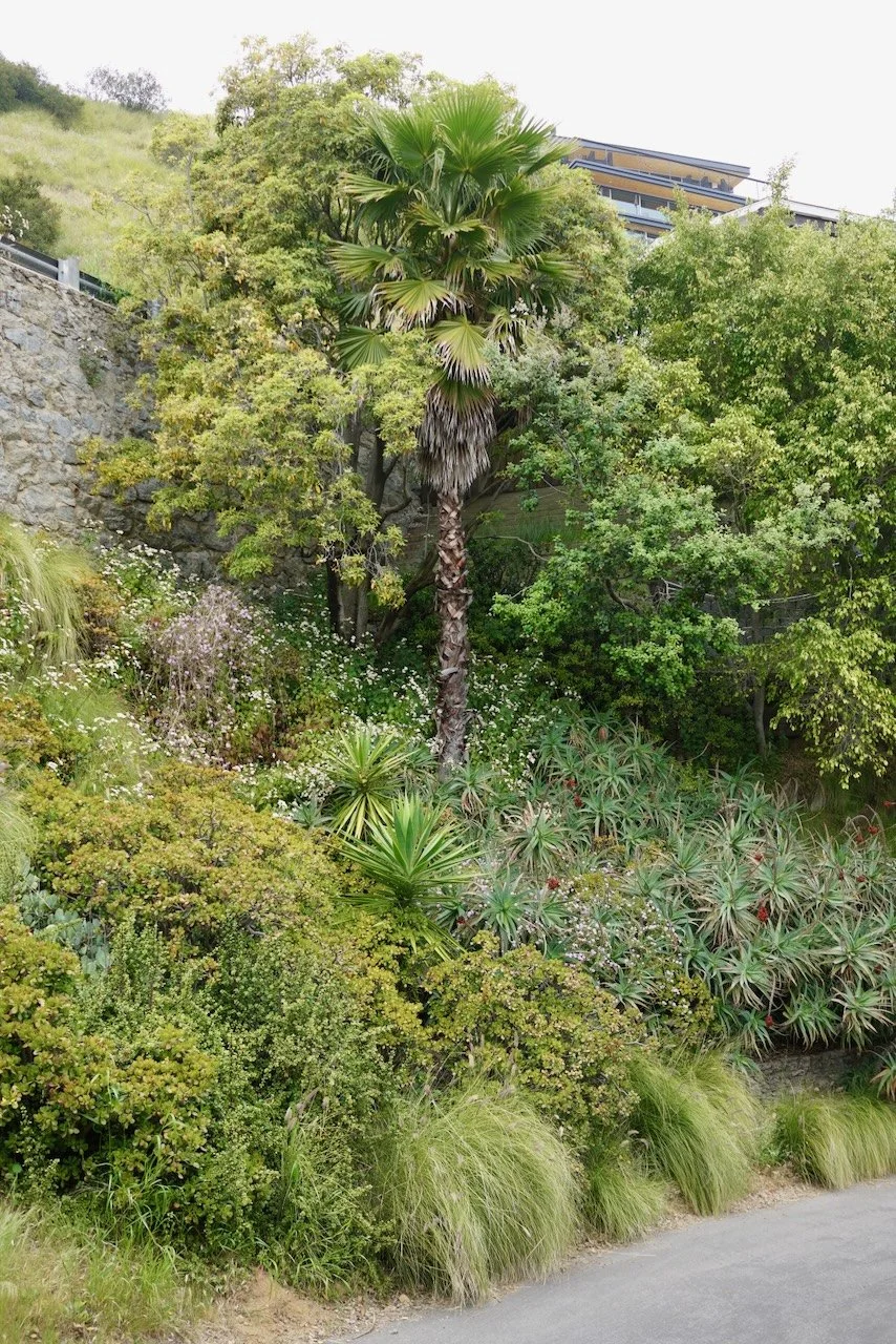  Clusters 2024:30 (2024) C-print on wood panel, 60”x40” 