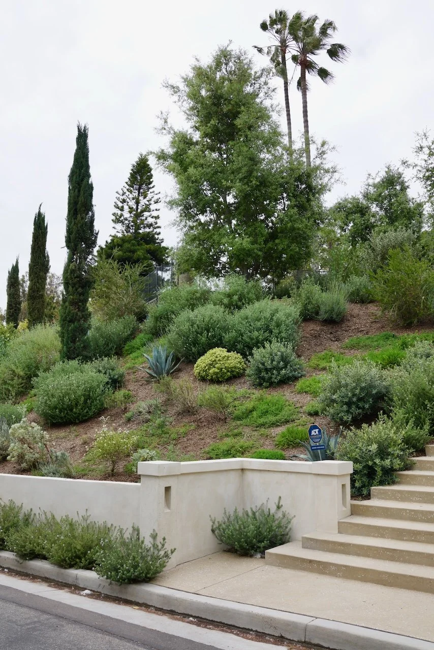  Clusters 2024:32 (2024) C-print on wood panel, 60”x40” 