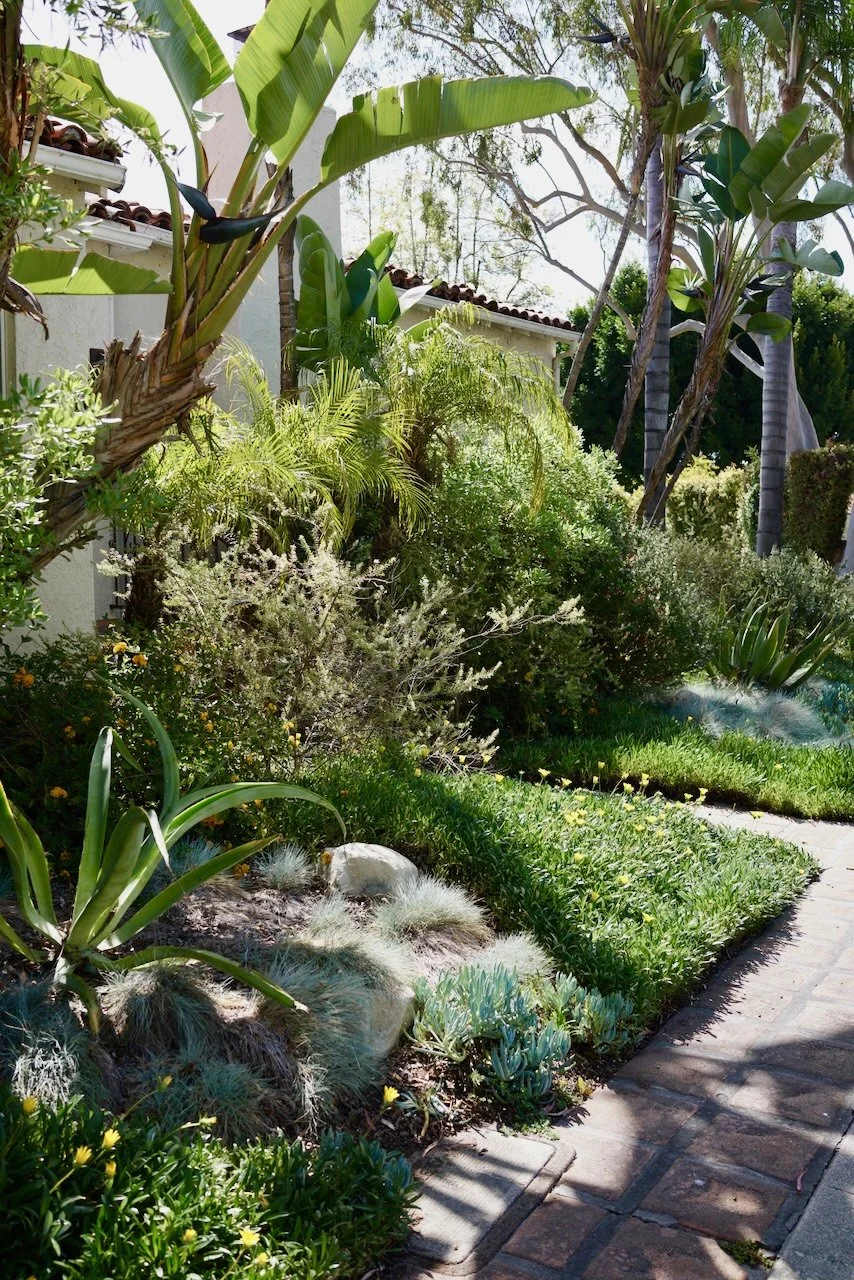  Clusters 2024:37 (2024) C-print on wood panel, 60”x40” 