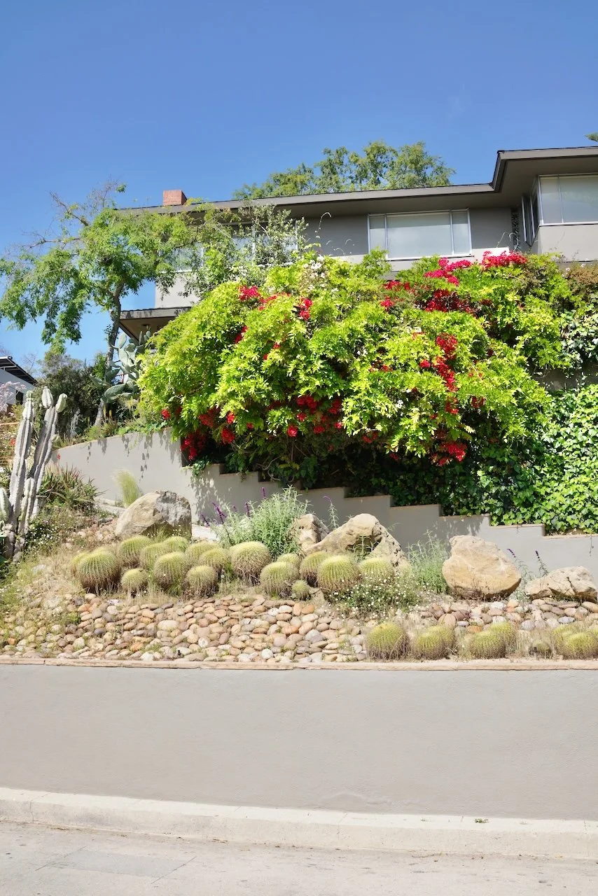  Clusters 2024:38 (2024) C-print on wood panel, 60”x40” 