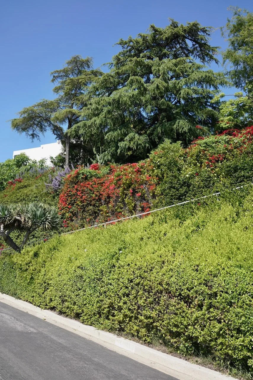  Clusters 2024:40 (2024) C-print on wood panel, 60”x40” 