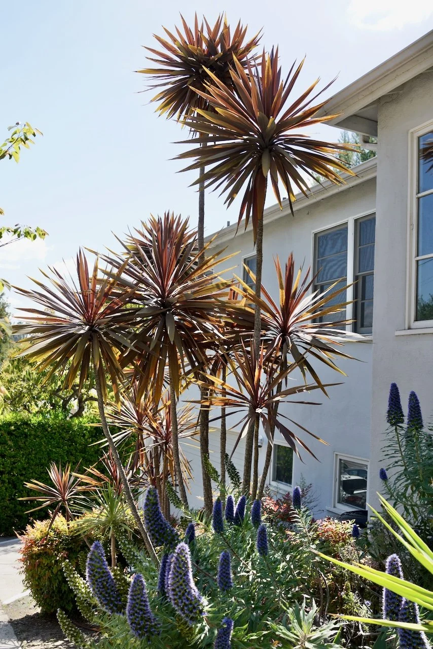  Clusters 2024:42 (2024) C-print on wood panel, 60”x40” 