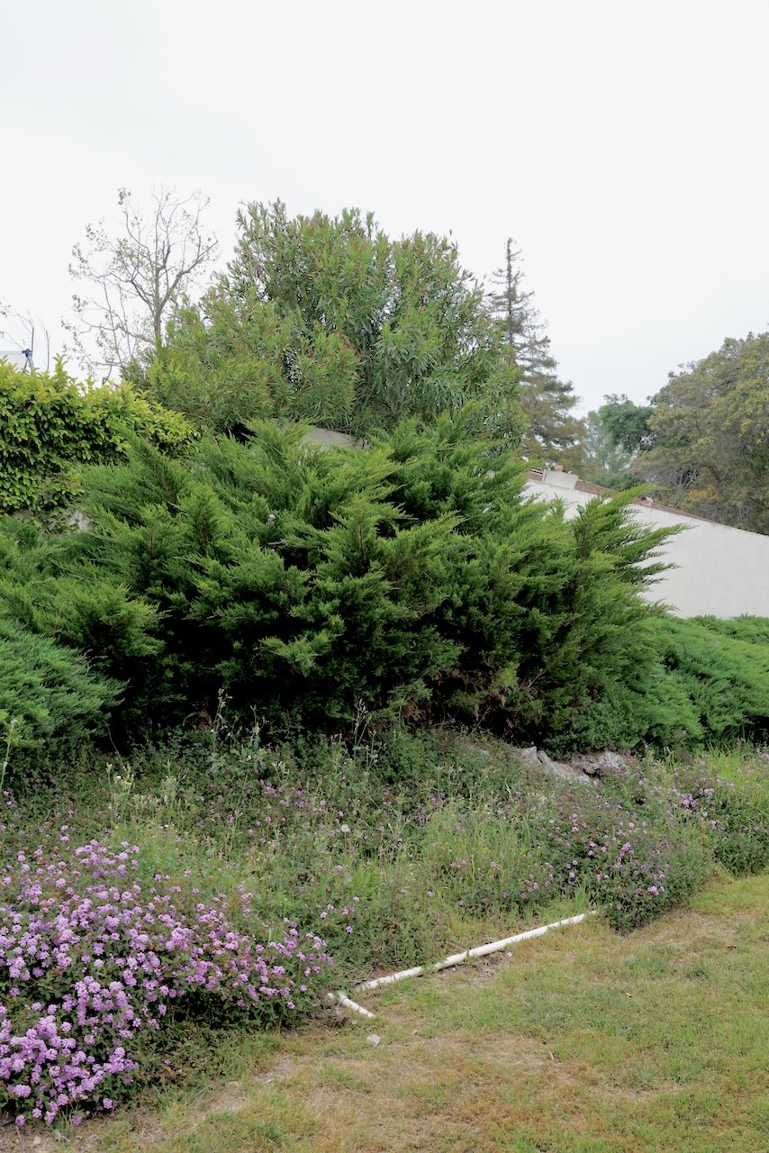  Clusters 2024:44 (2024) C-print on wood panel, 60”x40” 