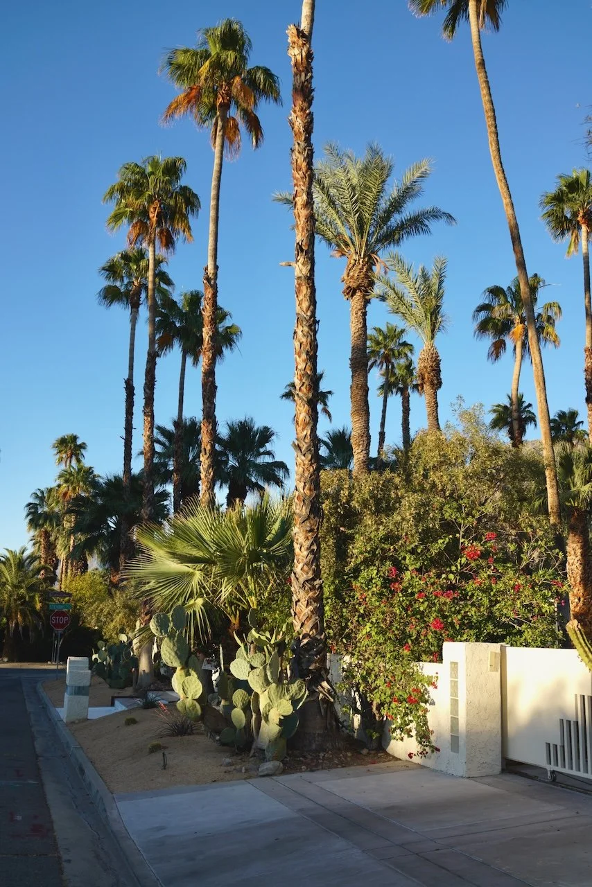  Clusters 2024:46 (2024) C-print on wood panel, 60”x40” 