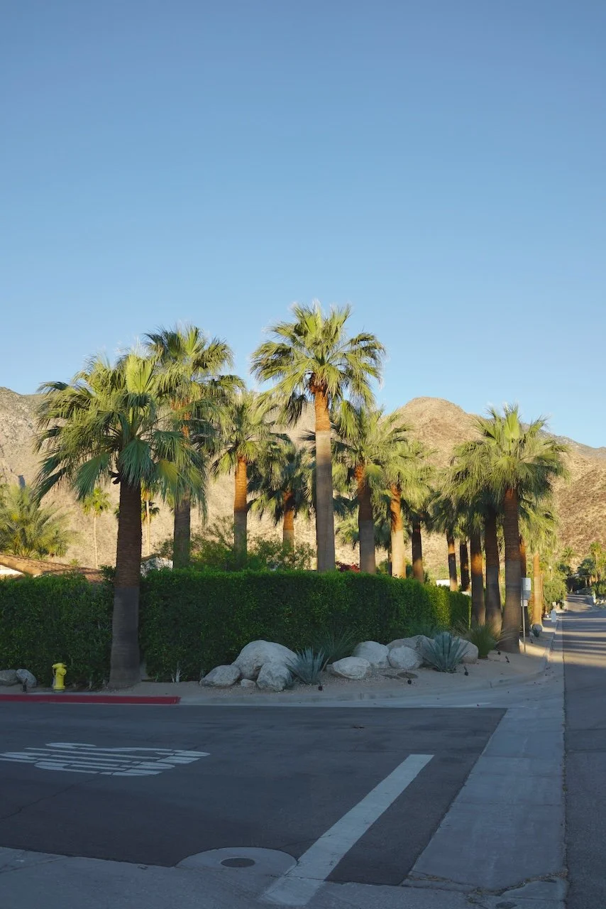  Clusters 2024:47 (2024) C-print on wood panel, 60”x40” 