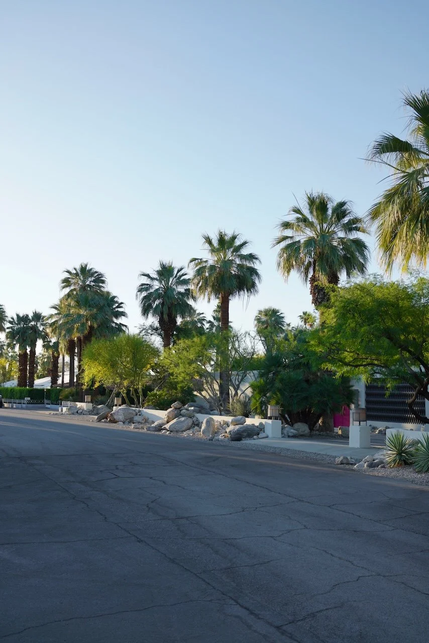  Clusters 2024:48 (2024) C-print on wood panel, 60”x40” 