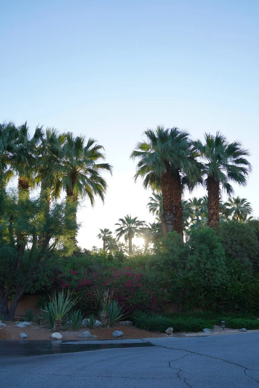  Clusters 2024:49 (2024) C-print on wood panel, 60”x40” 