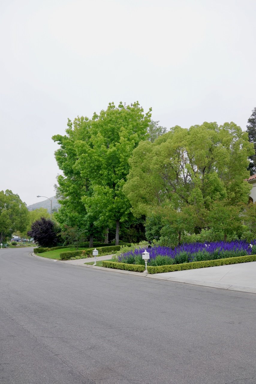  Clusters 2024:55 (2024) C-print on wood panel, 60”x40” 