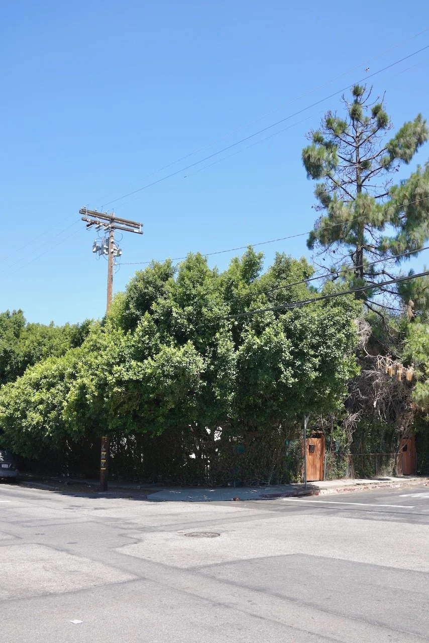  Clusters 2024:57 (2024) C-print on wood panel, 60”x40” 