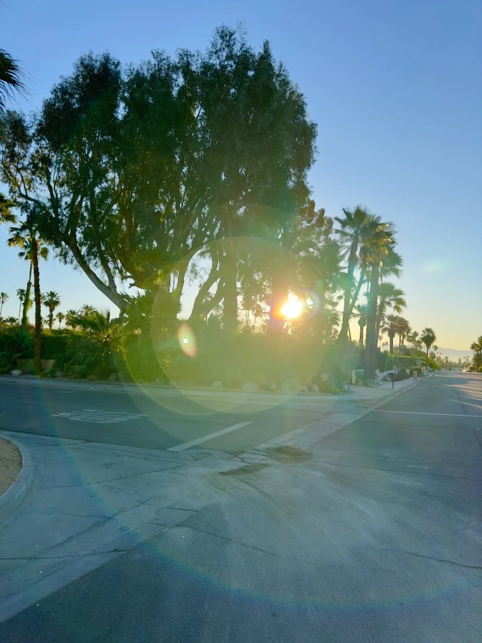  Clusters 2024:50 (2024) C-print on wood panel, 60”x40” 