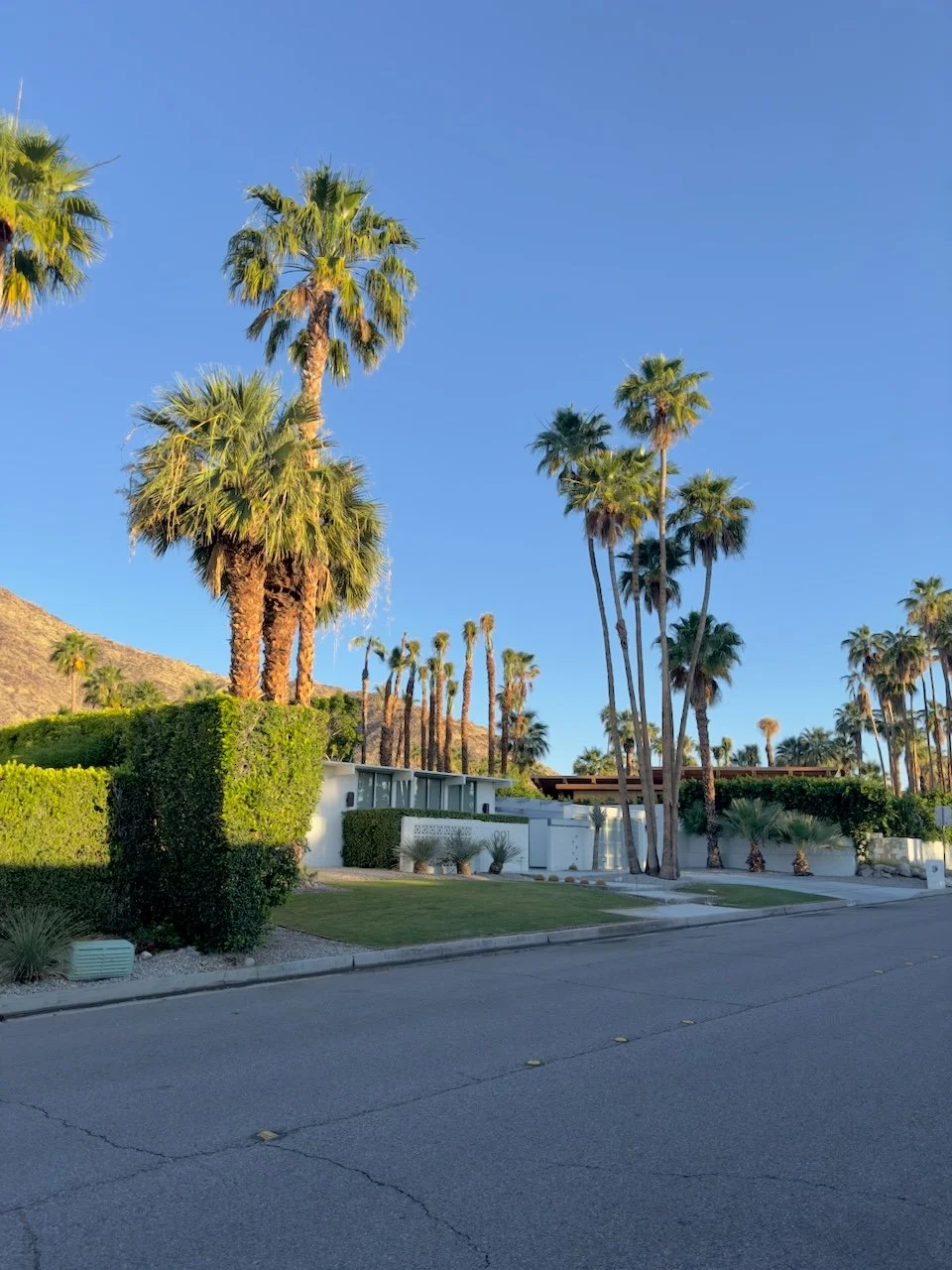  Clusters 2024:51 (2024) C-print on wood panel, 60”x40” 