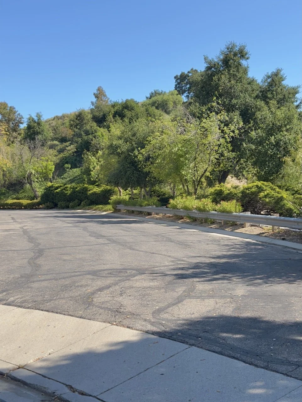  Clusters 2024:54 (2024) C-print on wood panel, 60”x40” 