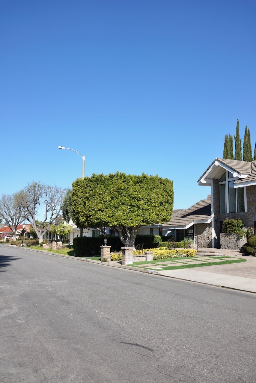  Equilibrium 2024:66 (2024) C-print on wood panel, 60”x40” 