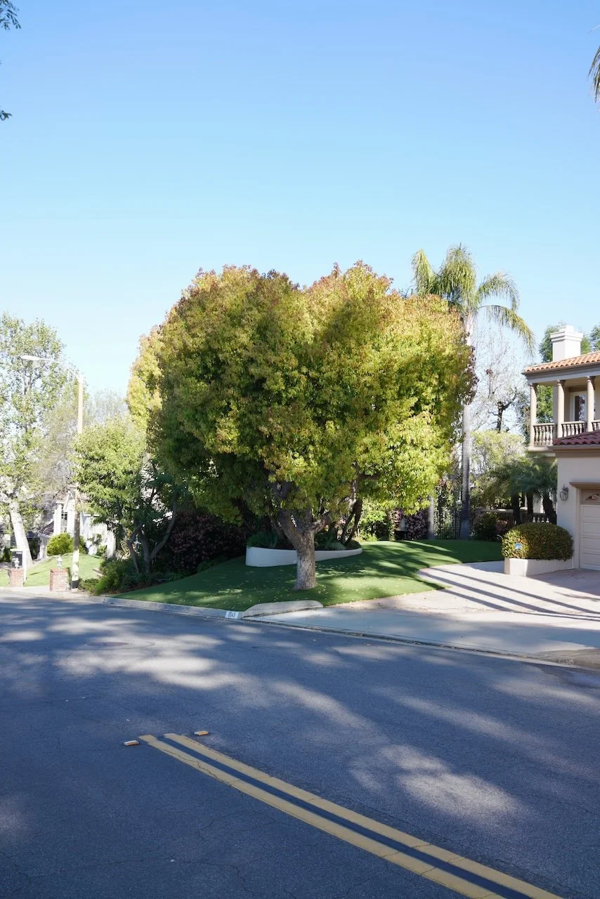  Equilibrium 2024:68 (2024) C-print on wood panel, 60”x40” 