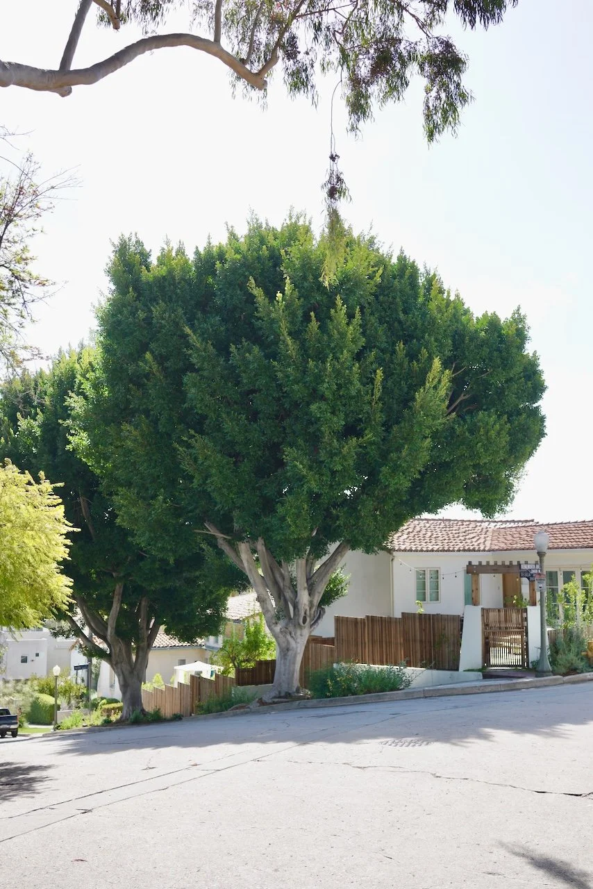  Equilibrium 2024:70 (2024) C-print on wood panel, 60”x40” 