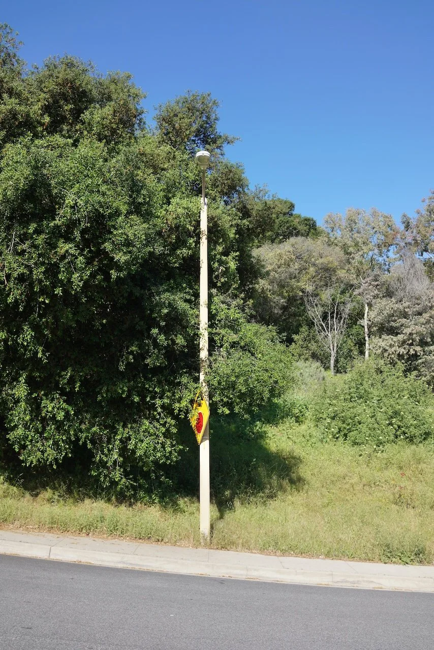  Equilibrium 2024:72 (2024) C-print on wood panel, 60”x40” 