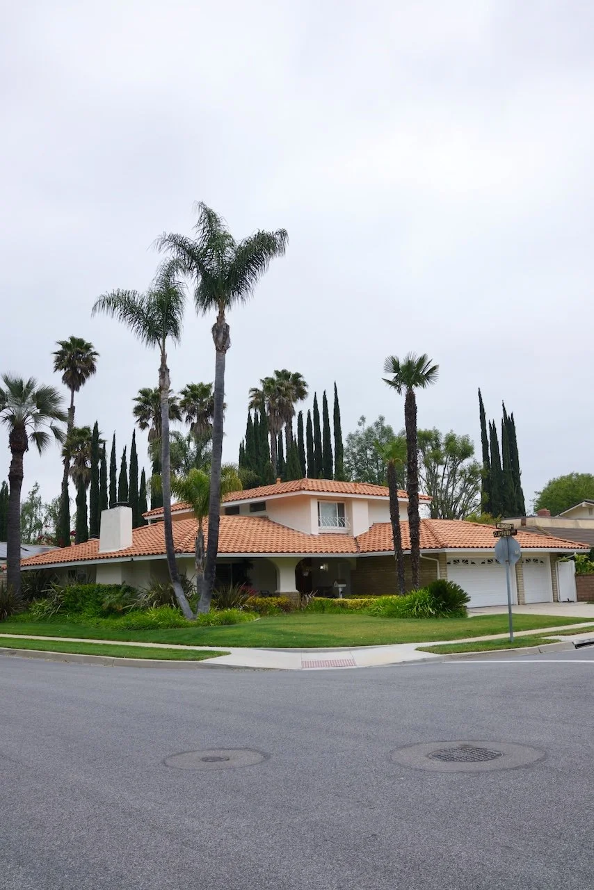  Equilibrium 2024:73 (2024) C-print on wood panel, 60”x40” 