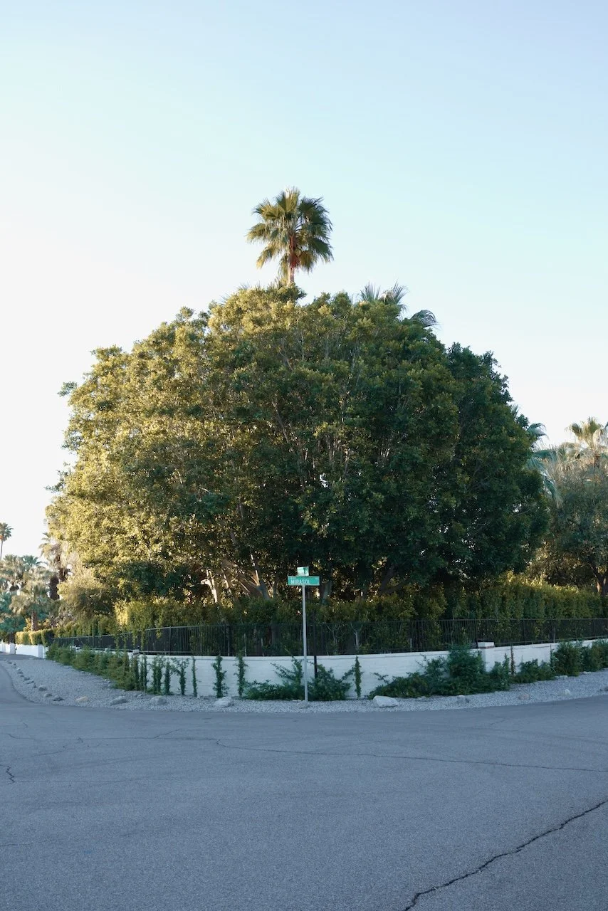  Equilibrium 2024:74 (2024) C-print on wood panel, 60”x40” 