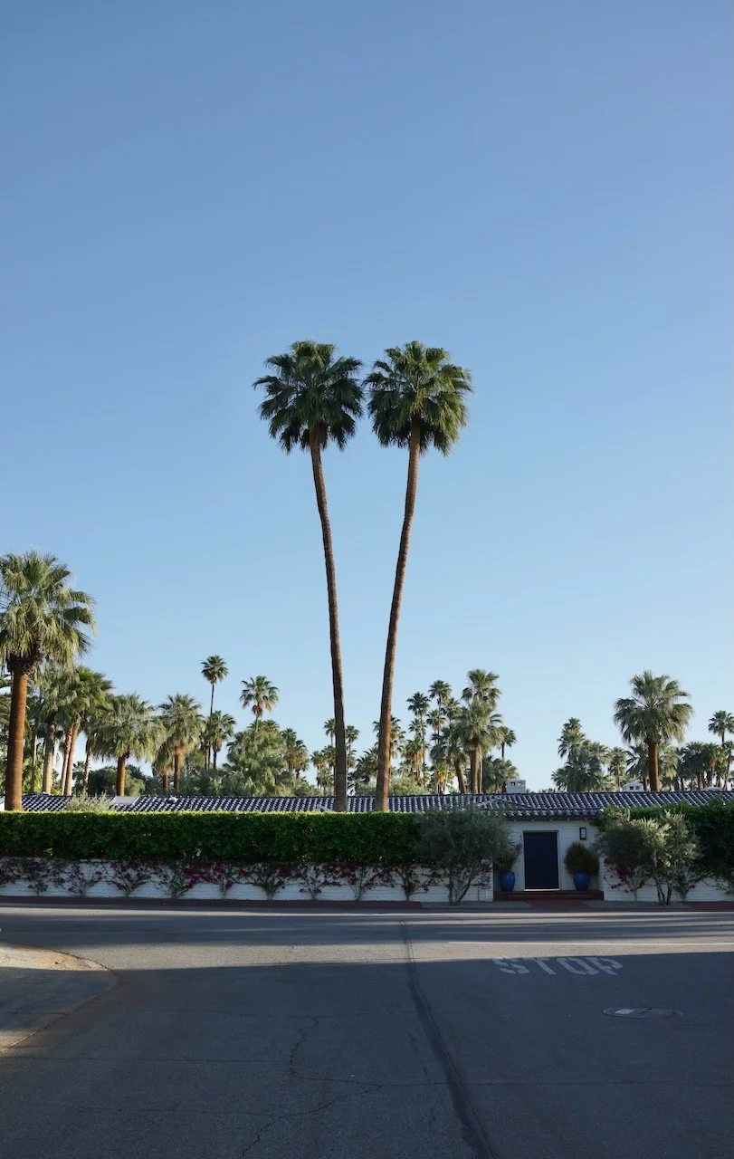  Equilibrium 2024:75 (2024) C-print on wood panel, 60”x40” 