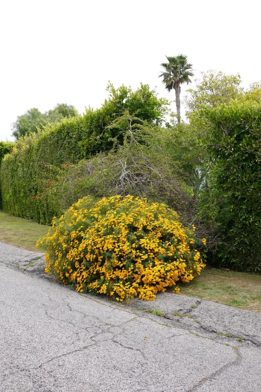  Equilibrium 2024:79 (2024) C-print on wood panel, 60”x40” 