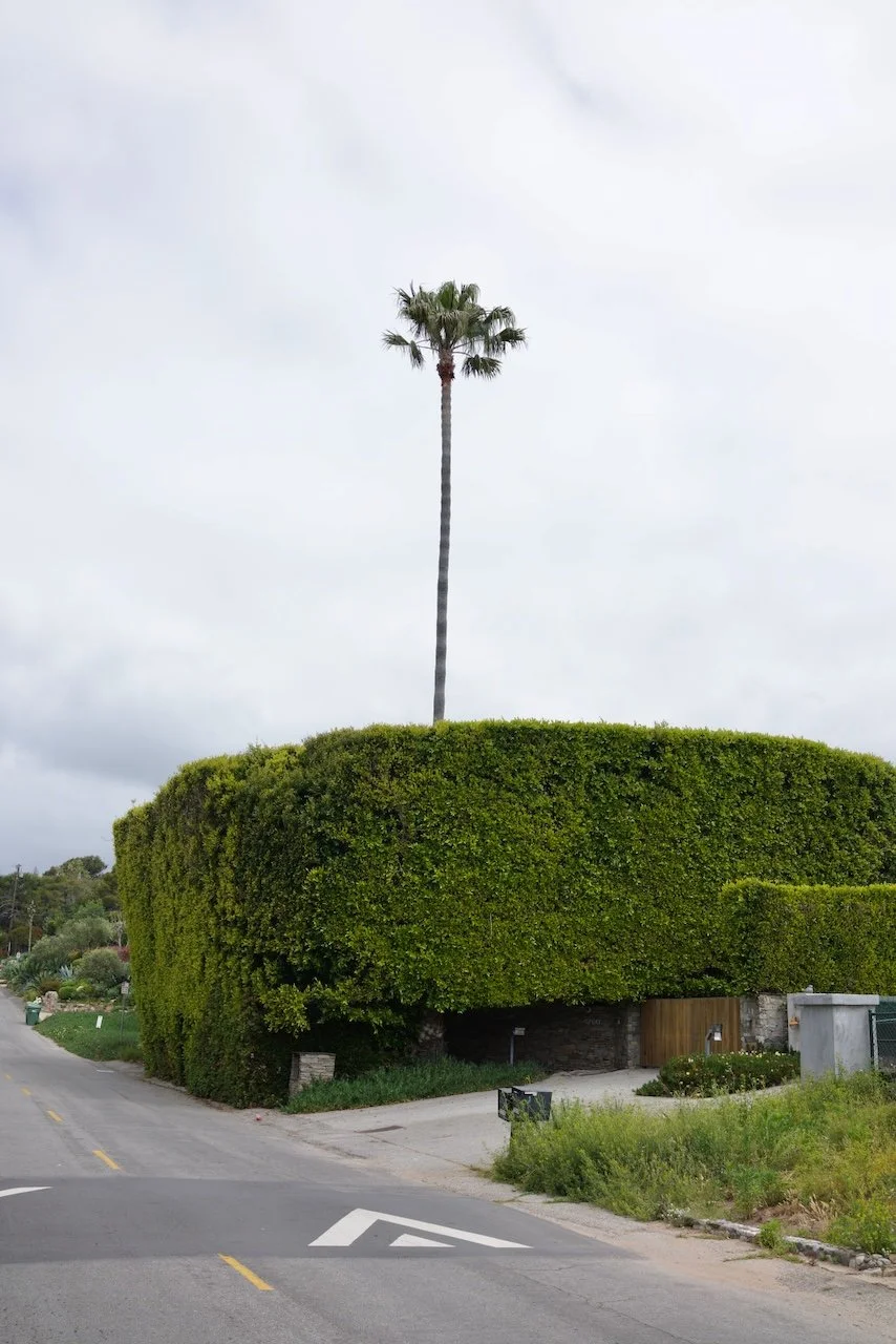  Equilibrium 2024:81 (2024) C-print on wood panel, 60”x40” 