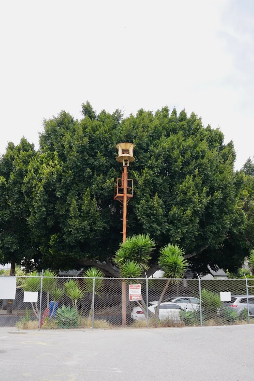  Equilibrium 2024:89 (2024) C-print on wood panel, 60”x40” 