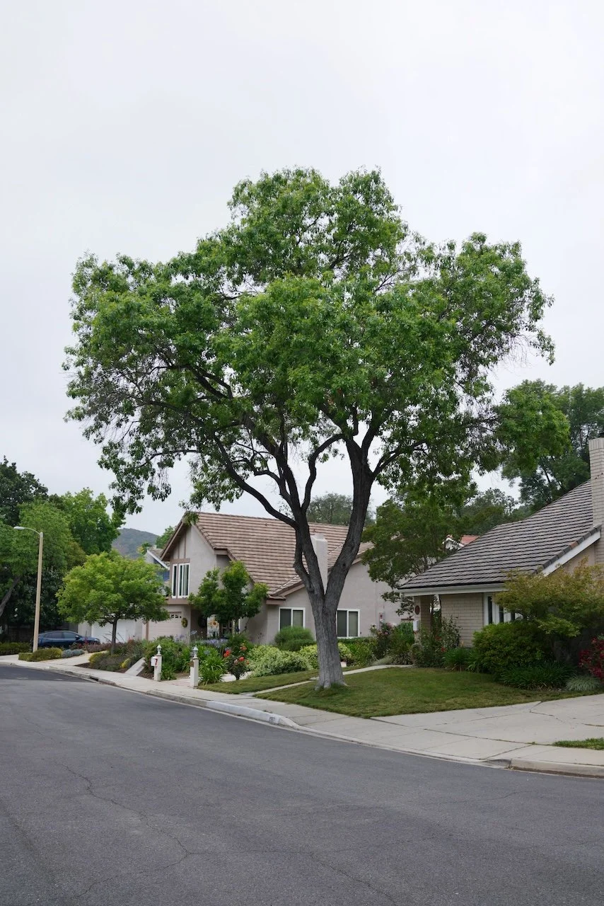  Equilibrium 2024:91 (2024) C-print on wood panel, 60”x40” 