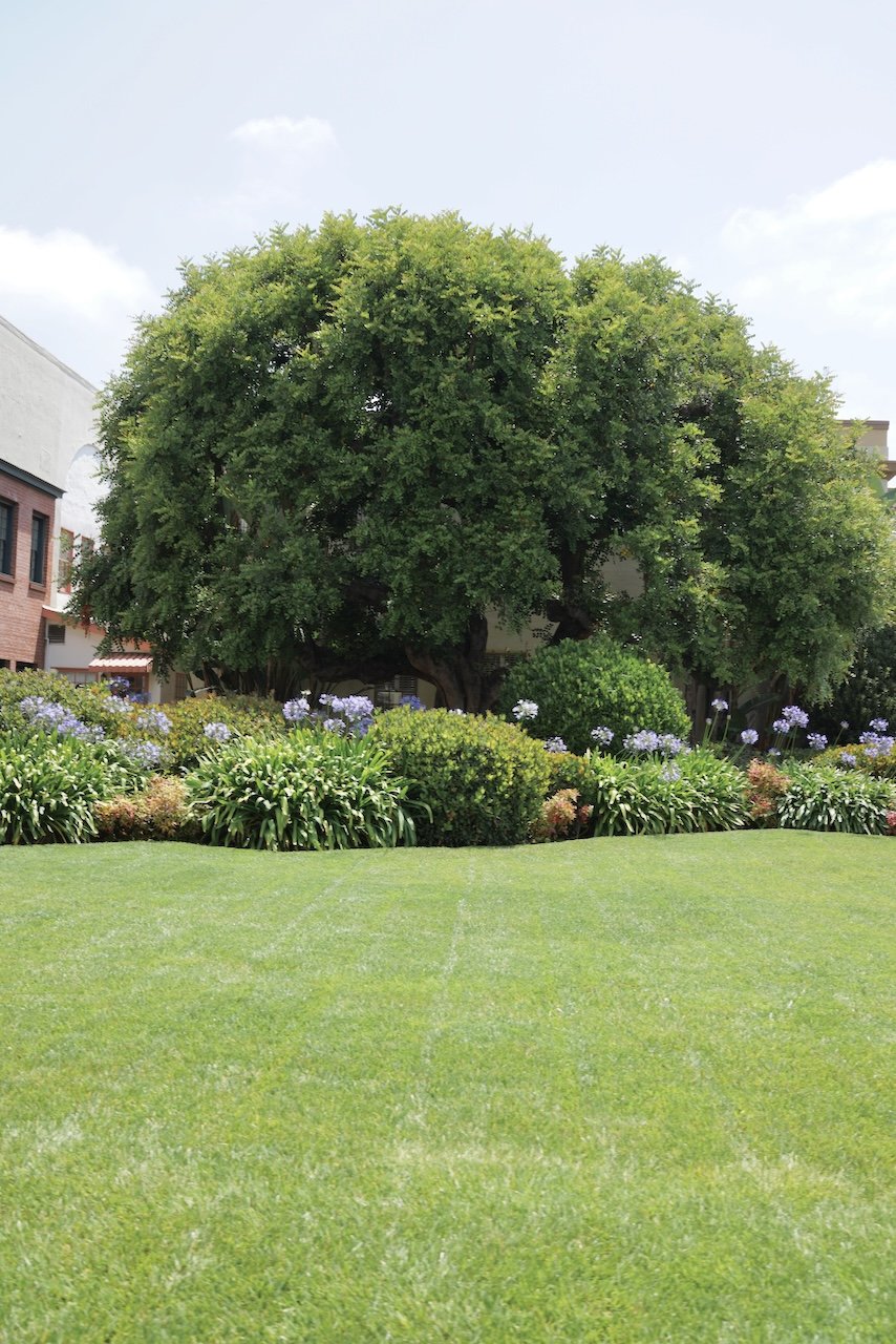  Equilibrium 2024:97 (2024) C-print on wood panel, 60”x40” 