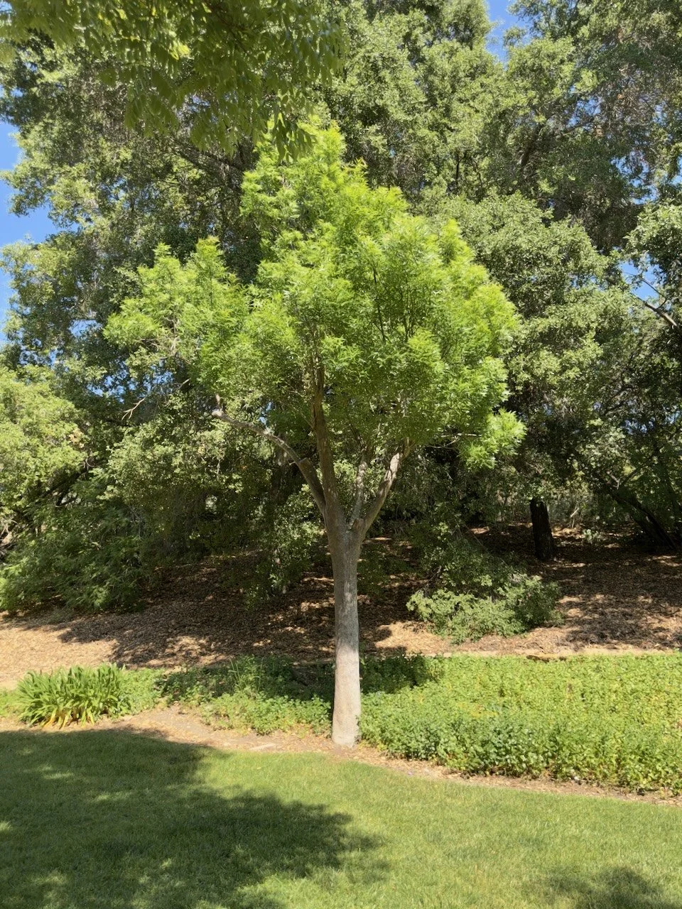  Equilibrium 2024:86 (2024) C-print on wood panel, 60”x40” 