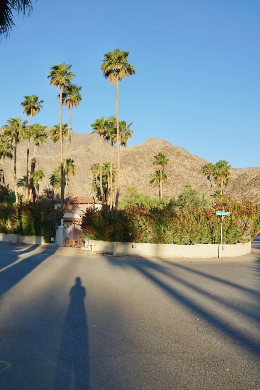  Figures 2024:7 (2024) C-print on wood panel, 60”x40” 