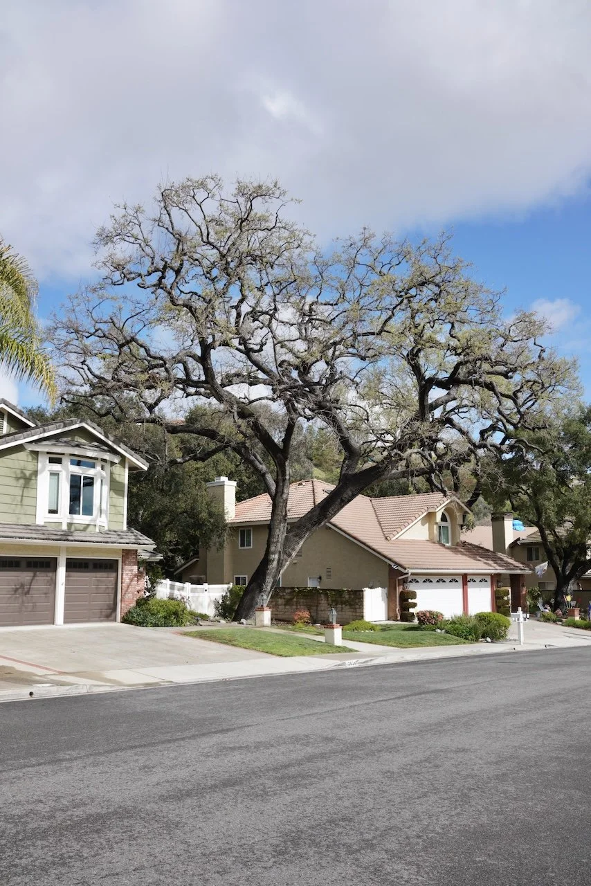  Homes 2024:7 (2024) C-print on wood panel, 60”x40” 