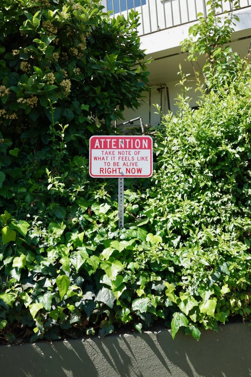  Signs 2024:1 (2024) C-print on wood panel, 60"x40" 