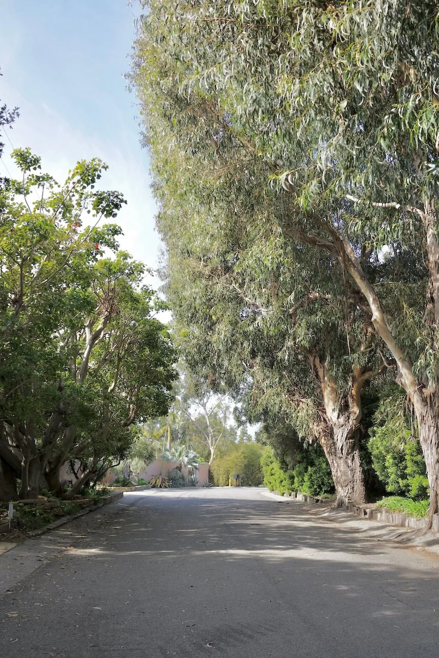  Spaces 2024:81 (2024) C-print on wood panel, 60"x40" 